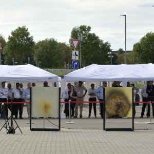 TechDay Brandtest Publikum